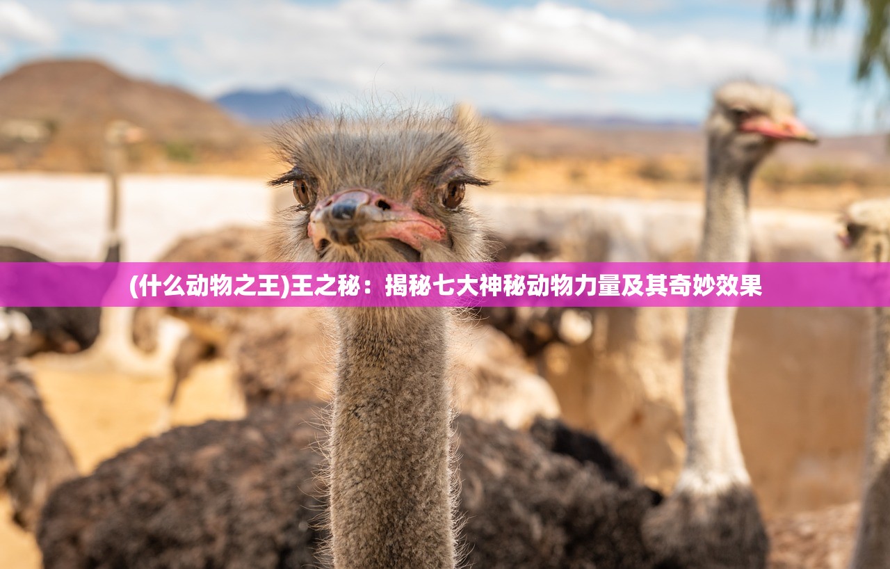 (缘结精灵有多少关)获得缘结精灵礼包码，尽享专属福利，畅玩精灵世界！