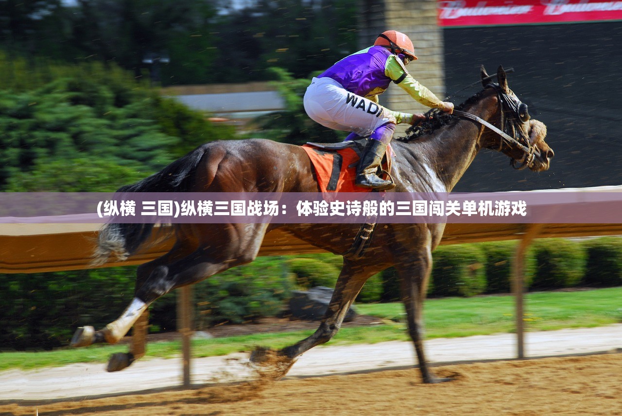 (大壮户型图)大壮人气爆棚，翻新1万㎡房间，打造独具魅力的新空间