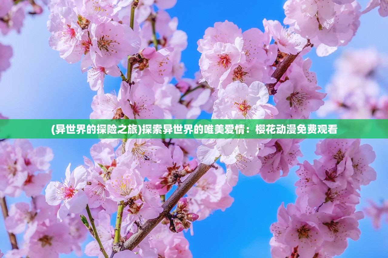 热血江湖赏金版官网：挑战极限，征战江湖，尽享刺激刀光剑影！