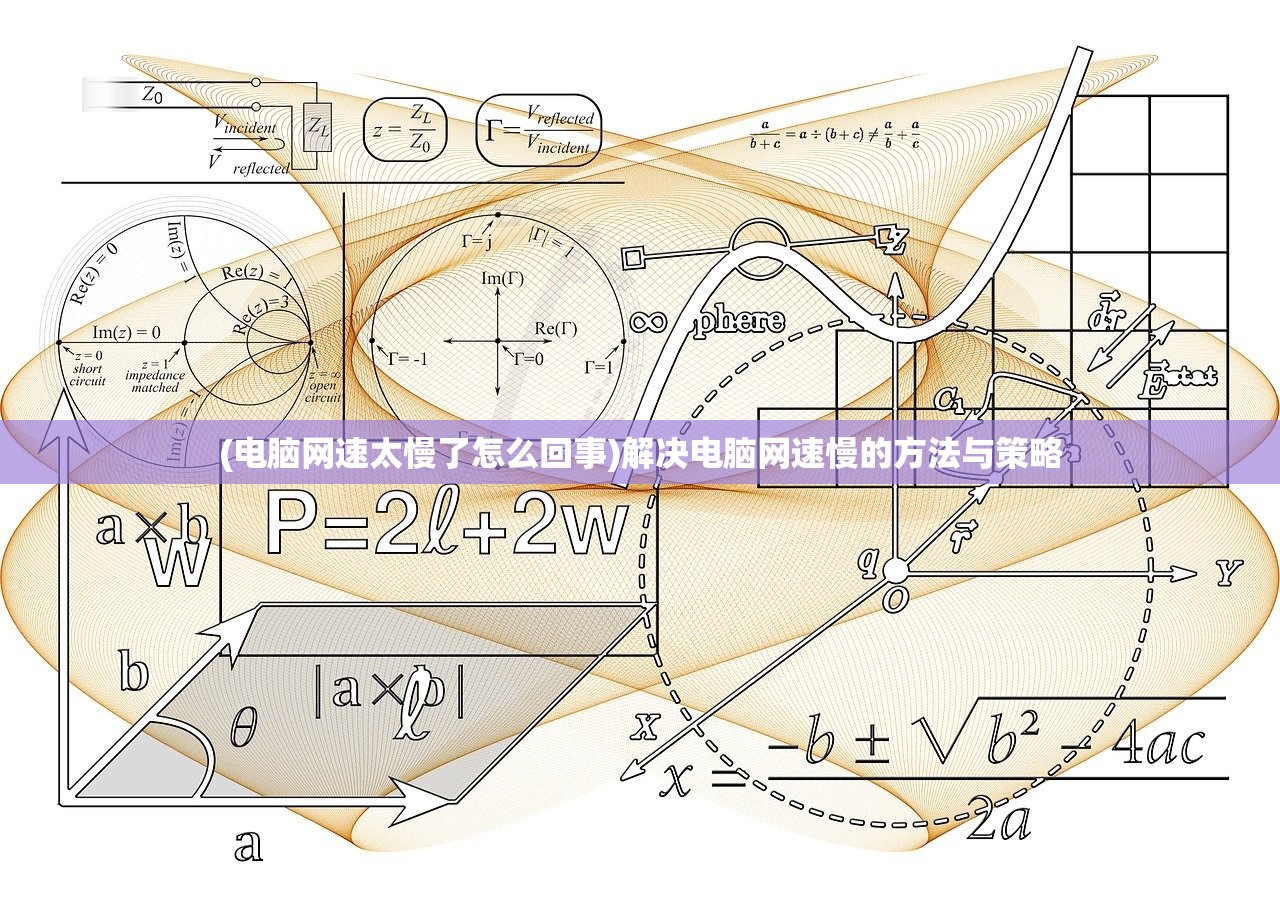 (电脑网速太慢了怎么回事)解决电脑网速慢的方法与策略