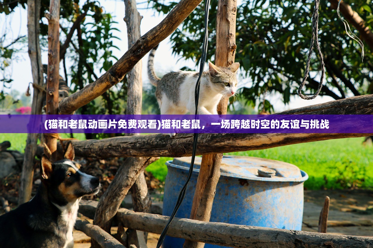 (猫和老鼠动画片免费观看)猫和老鼠，一场跨越时空的友谊与挑战