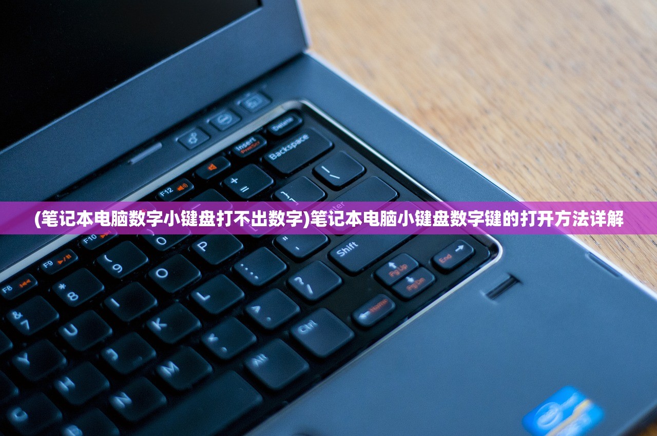 (笔记本电脑数字小键盘打不出数字)笔记本电脑小键盘数字键的打开方法详解