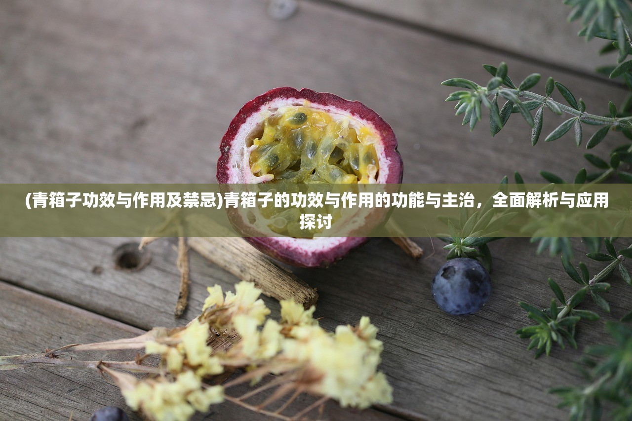 (青箱子功效与作用及禁忌)青箱子的功效与作用的功能与主治，全面解析与应用探讨