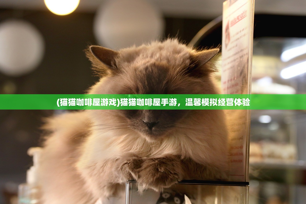 (猫猫咖啡屋游戏)猫猫咖啡屋手游，温馨模拟经营体验