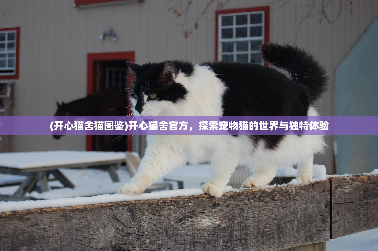 (开心猫舍猫图鉴)开心猫舍官方，探索宠物猫的世界与独特体验