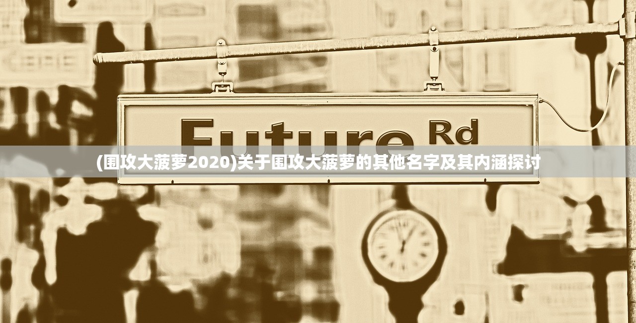 (围攻大菠萝2020)关于围攻大菠萝的其他名字及其内涵探讨