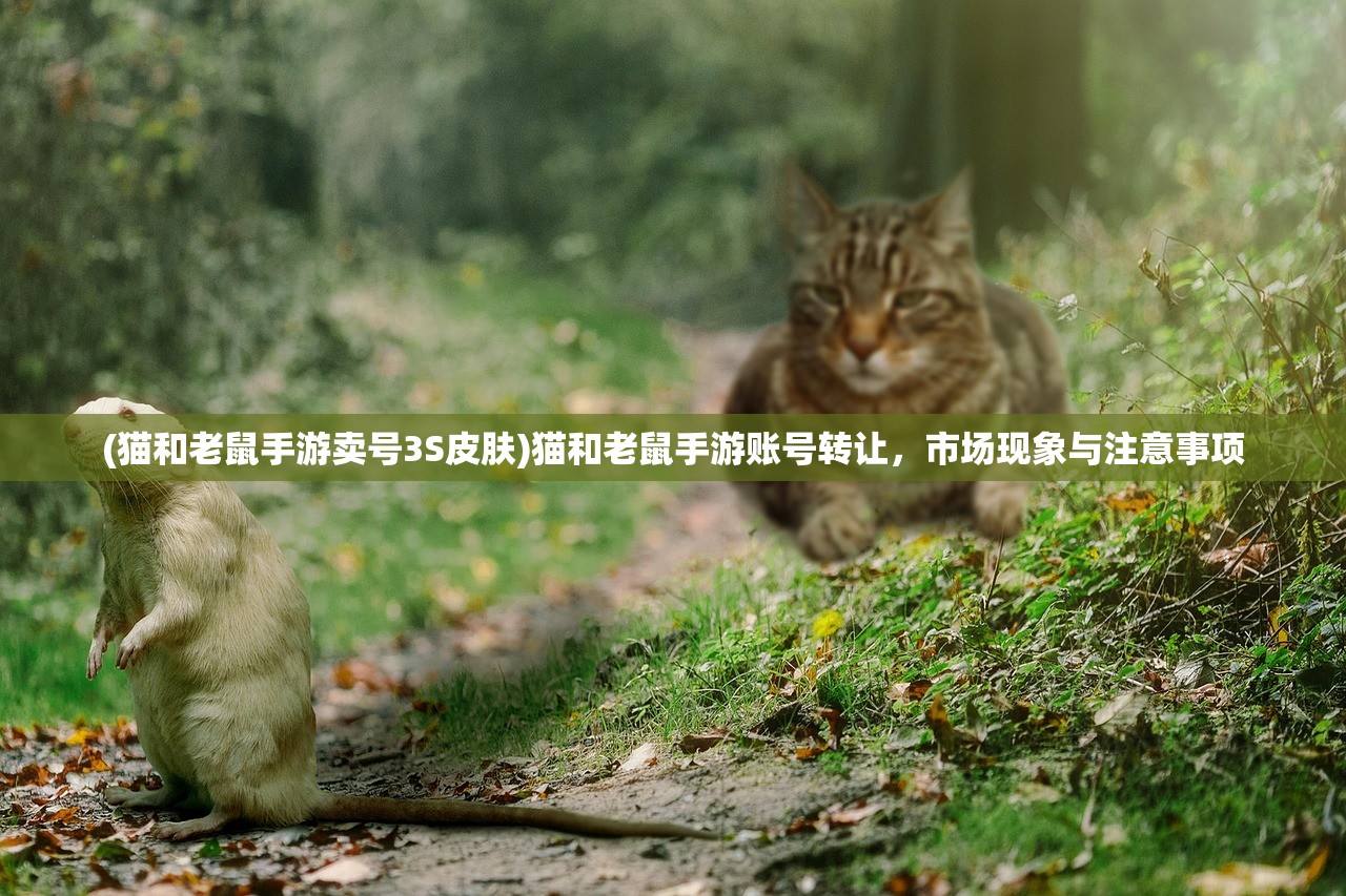 (猫和老鼠手游卖号3S皮肤)猫和老鼠手游账号转让，市场现象与注意事项