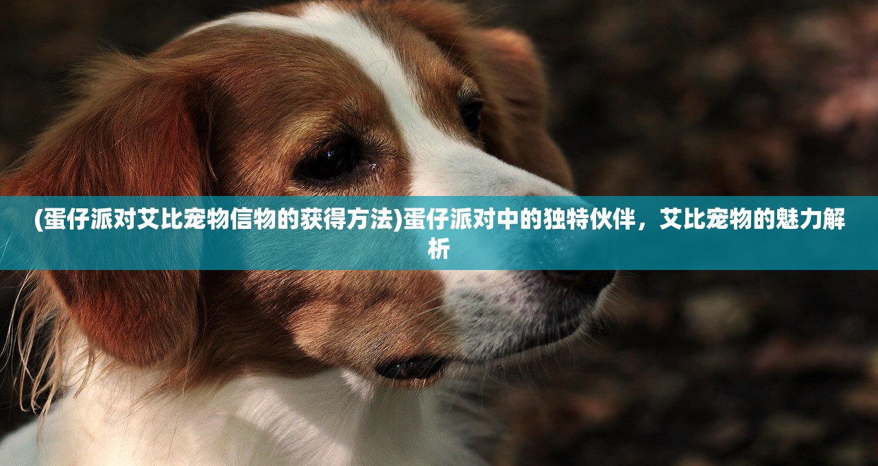 (蛋仔派对艾比宠物信物的获得方法)蛋仔派对中的独特伙伴,艾比宠物的魅力解析 (蛋仔派对艾比宠物信物的获得方法)蛋仔派对中的独特伙伴,艾比宠物的魅力解析