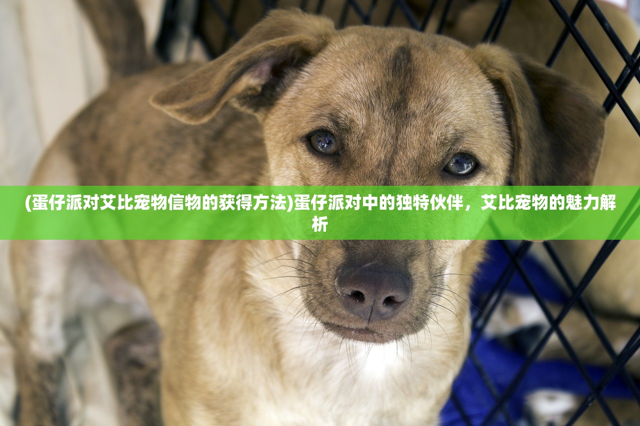 (蛋仔派对艾比宠物信物的获得方法)蛋仔派对中的独特伙伴,艾比宠物的魅力解析 (蛋仔派对艾比宠物信物的获得方法)蛋仔派对中的独特伙伴,艾比宠物的魅力解析