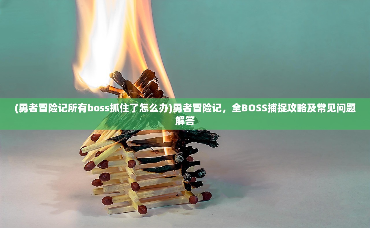 (勇者冒险记所有boss抓住了怎么办)勇者冒险记，全BOSS捕捉攻略及常见问题解答