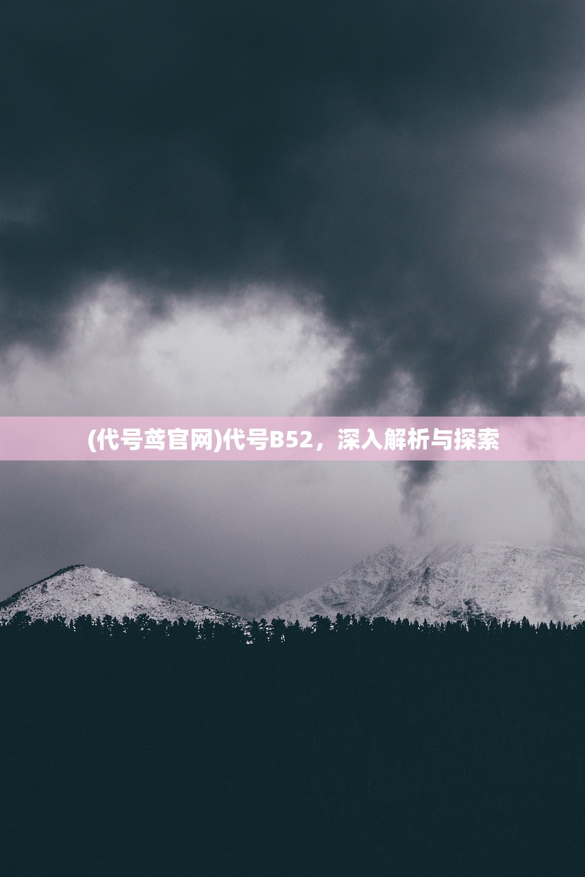 (代号鸢官网)代号B52,深入解析与探索 (代号鸢官网)代号B52,深入解析与探索