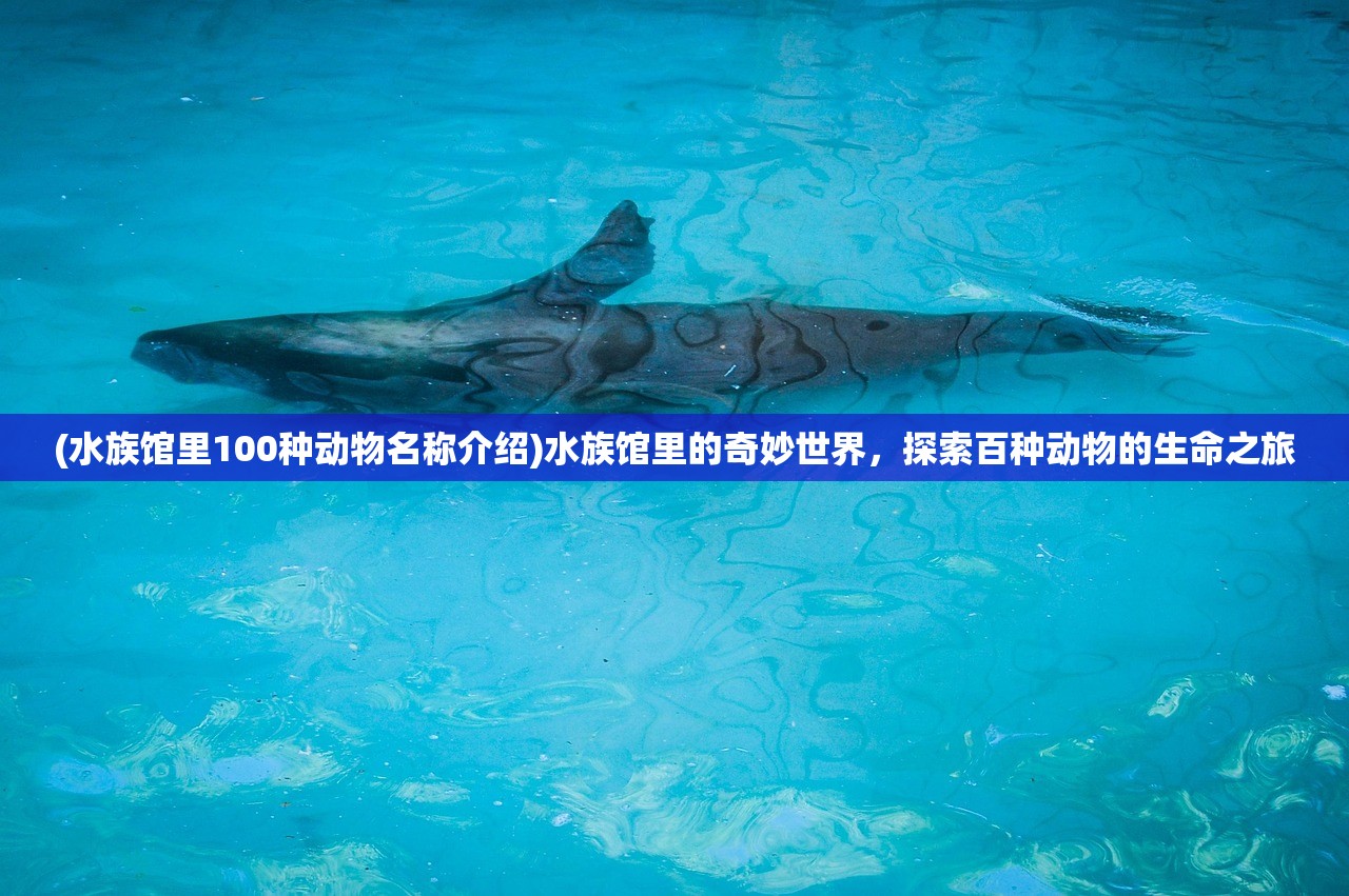 (水族馆里100种动物名称介绍)水族馆里的奇妙世界，探索百种动物的生命之旅