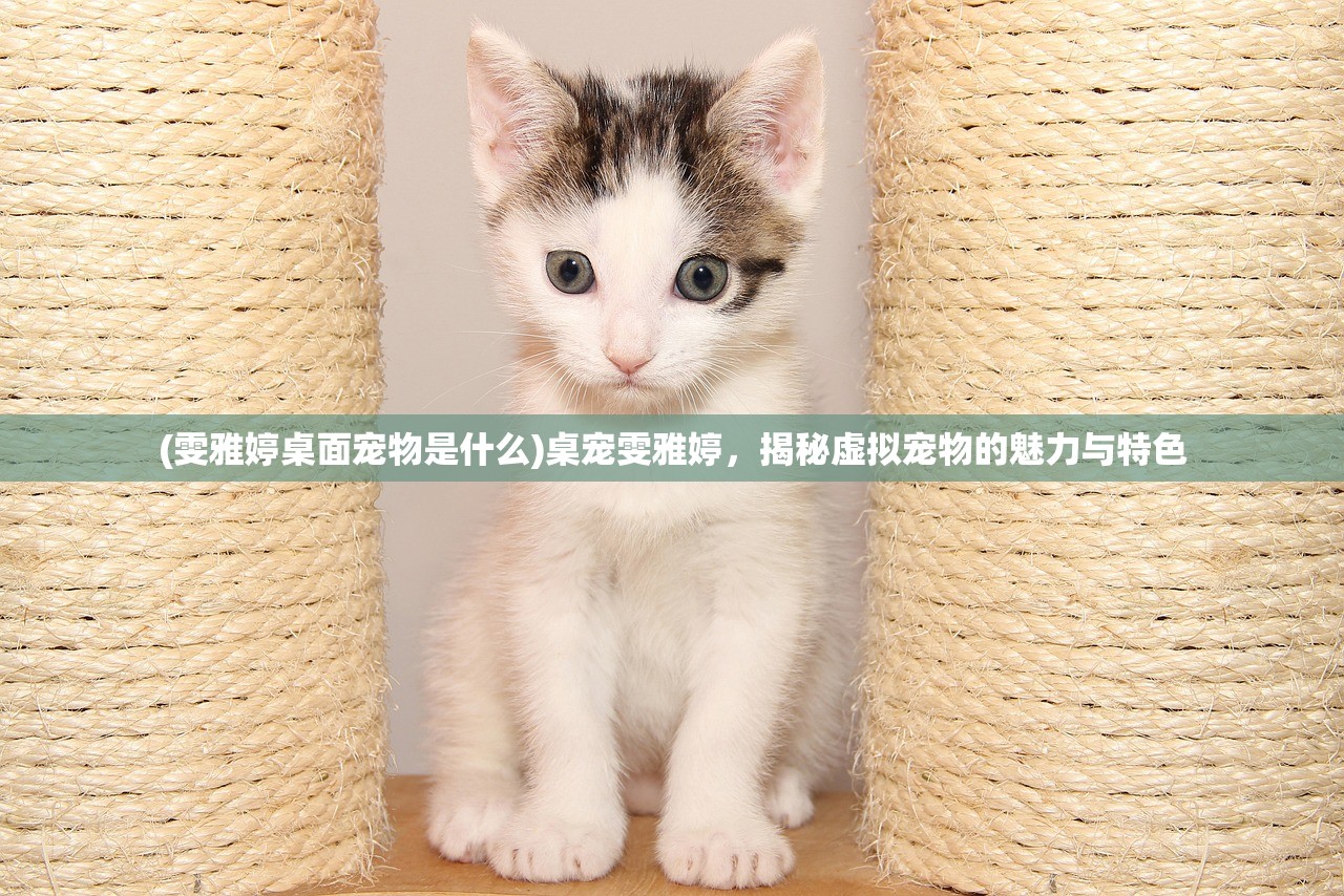 (雯雅婷桌面宠物是什么)桌宠雯雅婷,揭秘虚拟宠物的魅力与特色 (雯雅婷桌面宠物是什么)桌宠雯雅婷,揭秘虚拟宠物的魅力与特色