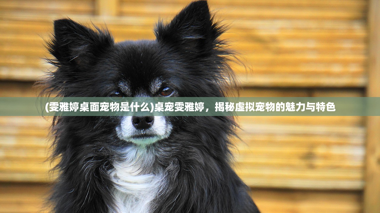 (雯雅婷桌面宠物是什么)桌宠雯雅婷,揭秘虚拟宠物的魅力与特色 (雯雅婷桌面宠物是什么)桌宠雯雅婷,揭秘虚拟宠物的魅力与特色