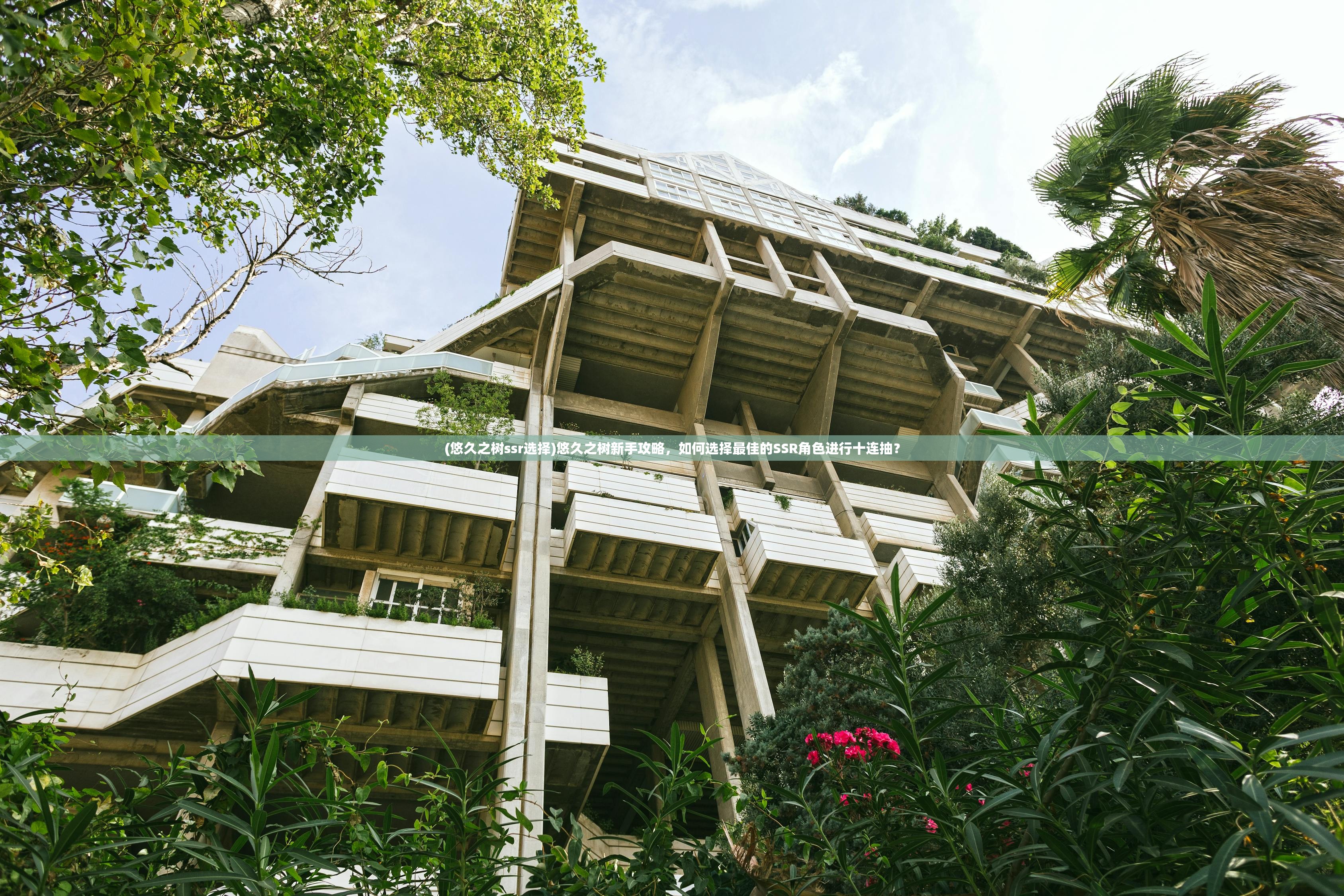 (悠久之树ssr选择)悠久之树新手攻略,如何选择最佳的SSR角色进行十连抽? (悠久之树ssr选择)悠久之树新手攻略,如何选择最佳的SSR角色进行十连抽?
