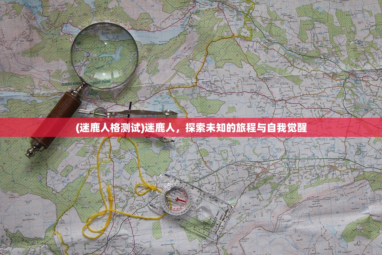 (迷鹿人格测试)迷鹿人,探索未知的旅程与自我觉醒 (迷鹿人格测试)迷鹿人,探索未知的旅程与自我觉醒